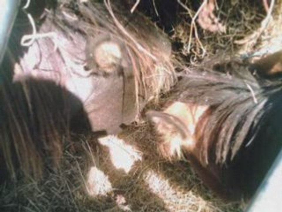 groupe année 2006-2007