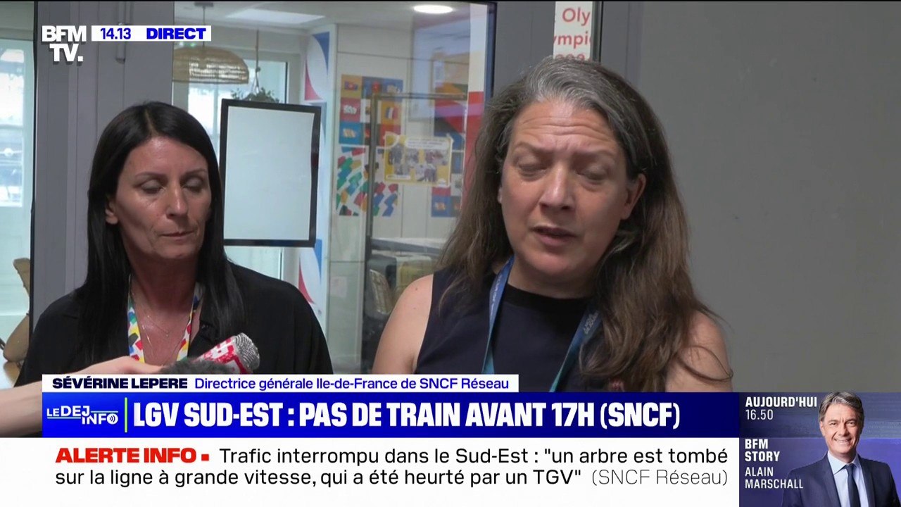 Incident sur le LGV Sud-Est: "La cime d'un arbre est tombé sur les voies, heurtée à pleine vitesse par un TGV", explique la directrice générale Île-de-France de SNCF Réseau