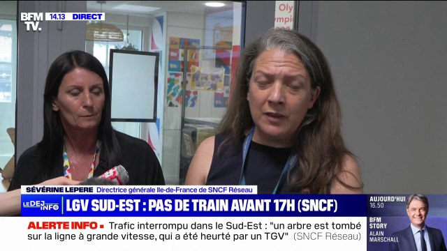 Incident sur le LGV Sud-Est: La cime d'un arbre est tombé sur les voies, heurtée à pleine vitesse par un TGV , explique la directrice générale Île-de-France de SNCF Réseau
