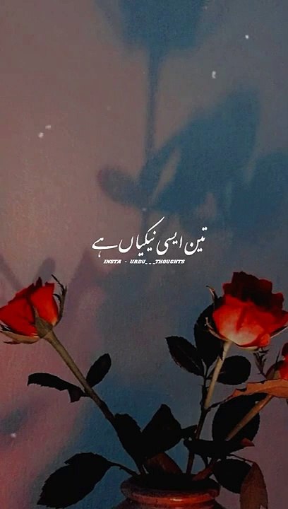 Islamic Whatsapp Status | Urdu Thoughts | Islamic vedioes