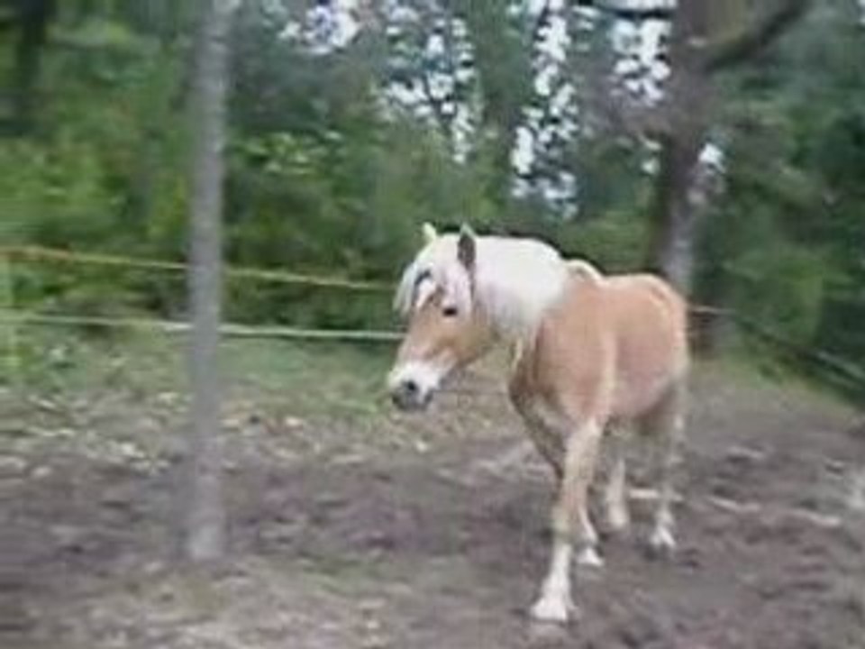 Aupré