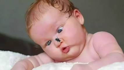 Funniest Baby Videos You Can't Miss - Funny Baby Videos