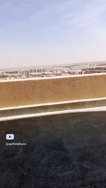 roof top view-3