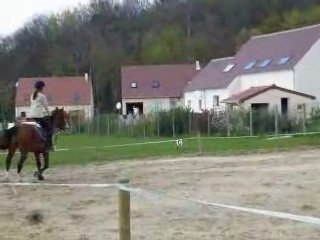 Oo~♥ Flipper ♥~oO