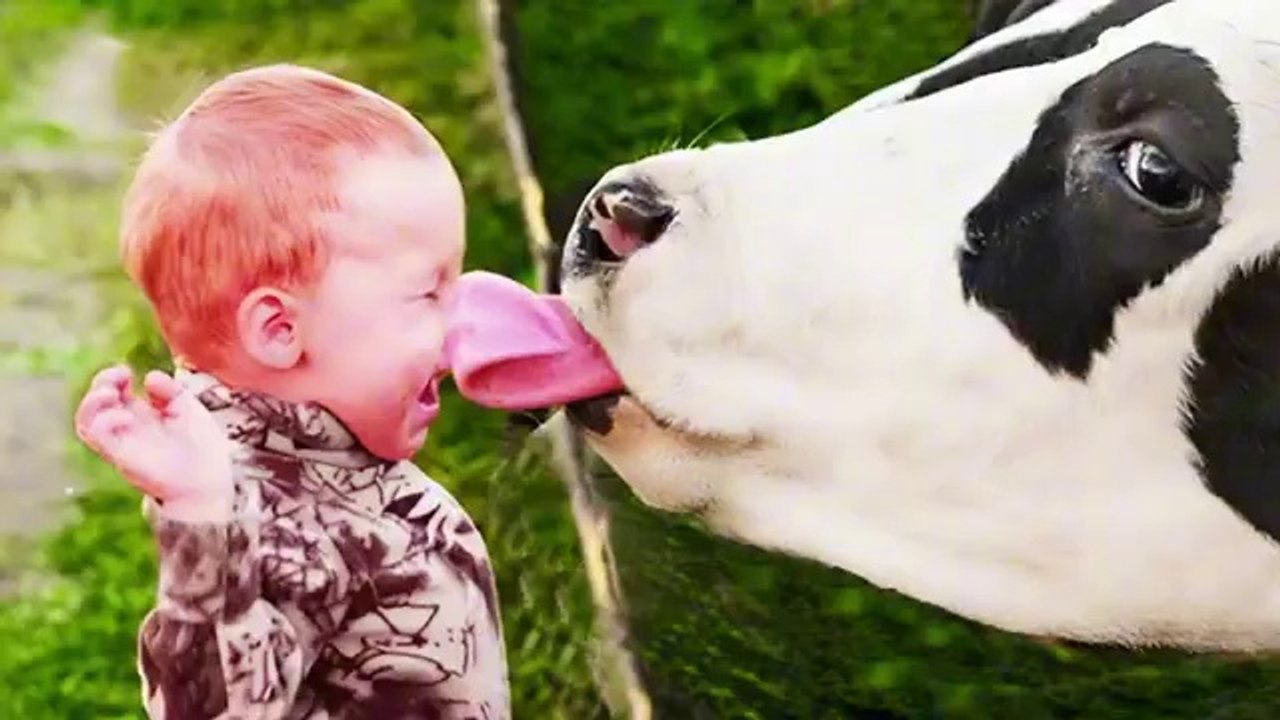 Try Not to Laugh - Funny Moments of Babies Meeting Animals for the First Time