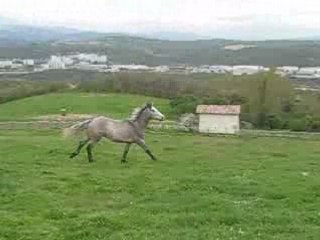 Encore un petit galop au pré des vacances