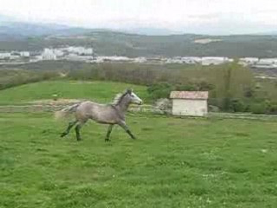 Encore un petit galop au pré des vacances
