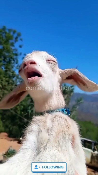 फनी सुहागरात