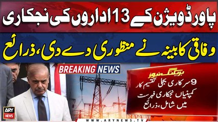 Cabinet approves privatization of 13 power division entities, sources