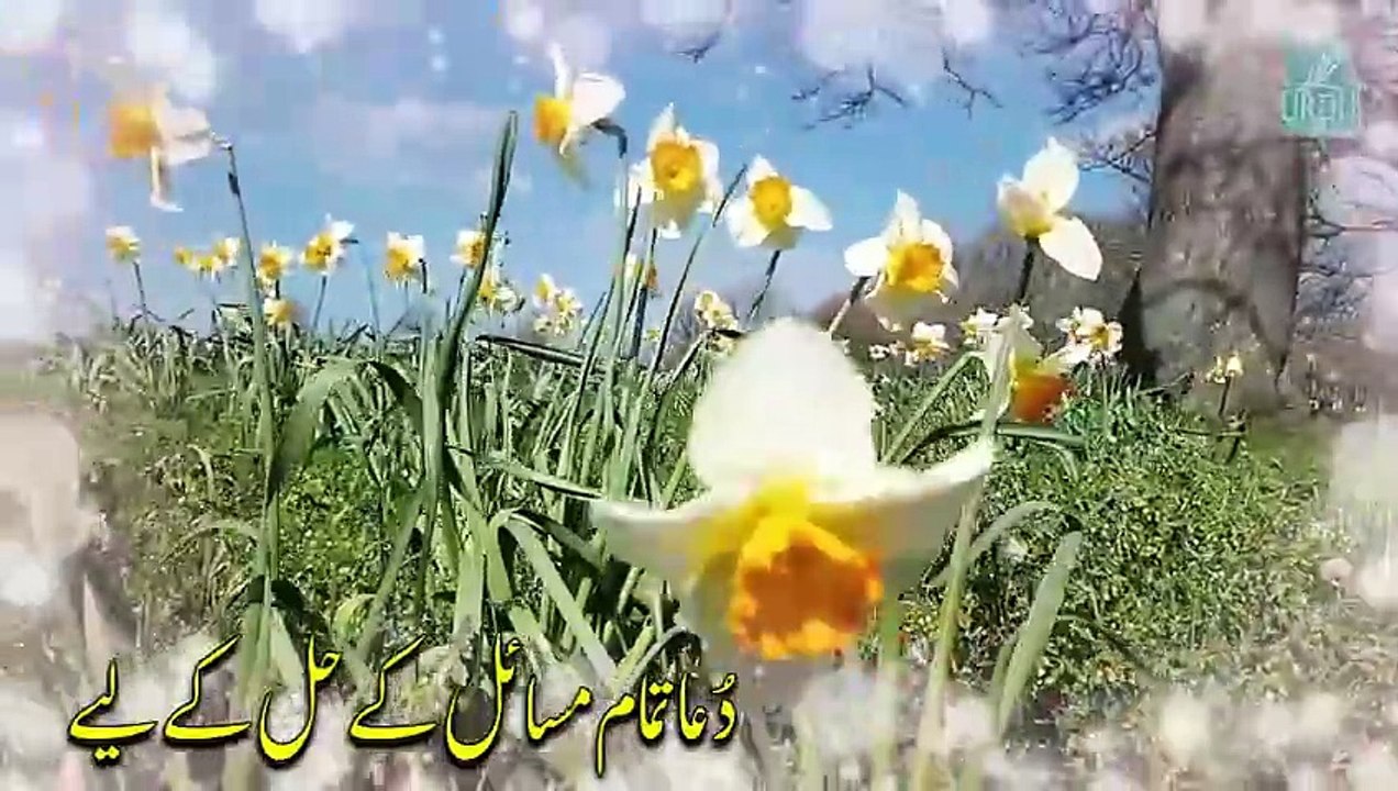Dua for All Problems