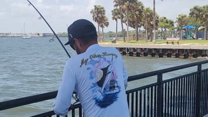 MASSIVE tarpon shows amazing fighting spirit after being caught by determined angler