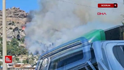 Bodrum'da makilik alanda yangın çıktı