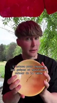 Astuce pour éloigner guêpes et moustiques