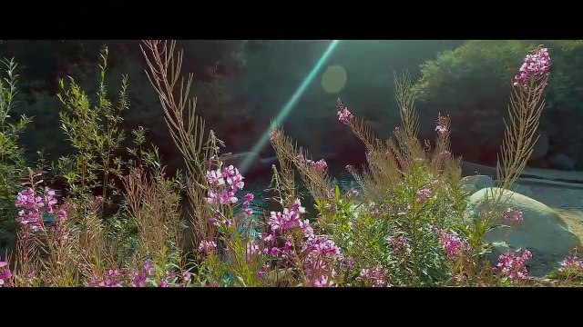 Hike Beaver Lake and the Royal Elk Trail in Beaver Creek, Colorado