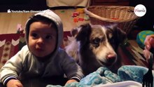Baby soll „Mama" sagen, doch plötzlich tut der Schäferhund das Unfassbare (Video)