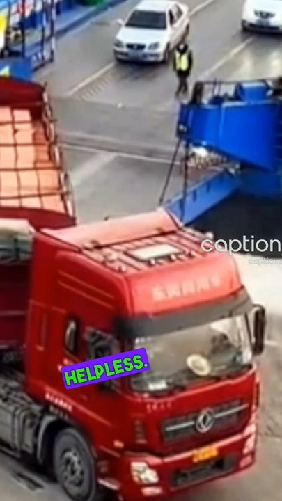 Entertainment video 