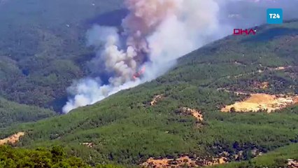 Aydın'da orman yangını: Müdahale sürüyor
