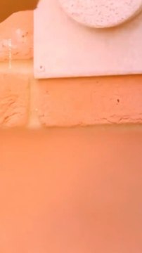 Abonne-toi pour suivre d’autres solutions positives ! @theimpactstory Source : spring watch 2023 #oiseaux #biodiversité #environnement #ecologie #invention