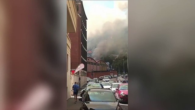 Incendio Roma, le fiamme vicinissime alle case. Evacuata la sede Rai di via Teulada
