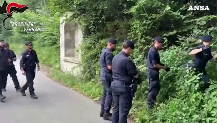 Download Video: Blitz nel bosco dello spaccio nel Vco, arrestati due pusher