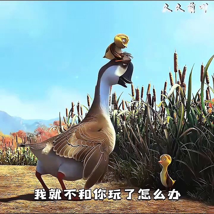 Short video