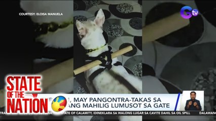 State of the Nation Part 3 (July 31, 2024): Furmom, may pangontra-takas sa aso niyang mahilig lumusot sa gate