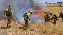 Un aparatoso incendio se extiende por Loeches afectando a pastos, cultivos y edificios