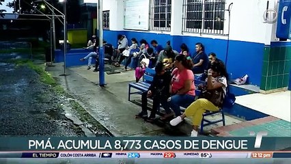 Cuatro serotipos de dengue circulan en Panamá