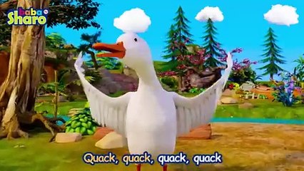 Five Little Ducks Song for kids  BabaSharo TV  Nursery Rhymes & Kids Songs1722376241183