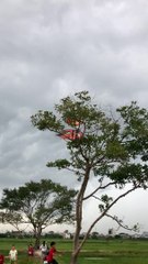 Kết quả chiến giông bão và cái kết