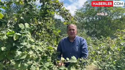 Télécharger la video: CHP'li Seyit Torun: Fındık taban fiyatları üreticiyi yok saymaktır