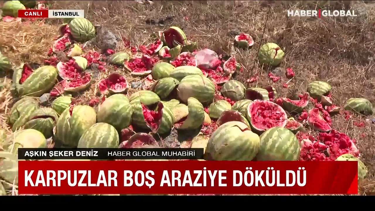 Arnavutköy'de karpuzlar boş araziye döküldü