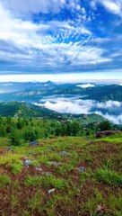 Everyone-Like-This-Season