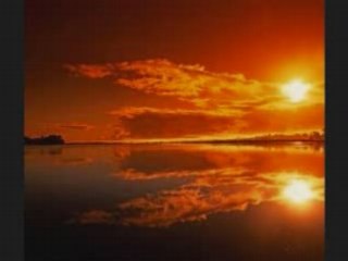 FIFI  &  FARES  2008