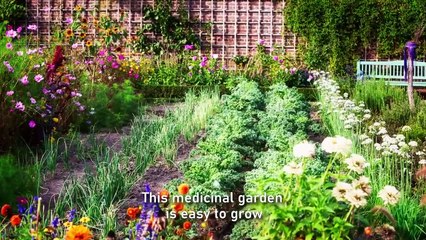  Discover the Healing Power of Nature with Our Medicinal Garden Kit! 