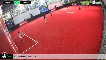 But de Mendel - Team B