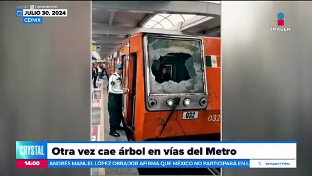 Árbol cae en las vías de la Línea 5 del Metro de la CDMX
