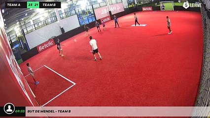 But de Mendel - Team B