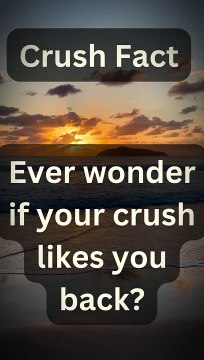 Surprising Crush Facts You Need to Know! || facts || shocking || amazingfacts