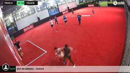 But de Mendel - Team B