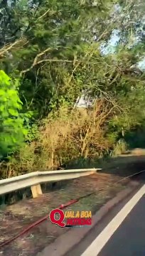 Colisão frontal com morte é registrado na PR-182; Ponte do Piquiri em Palotina