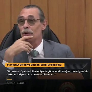 Beşikçioğlu: Sokak hayvanlarını belediyede görevlendireceğim