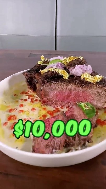 Feeding A Dog _1 vs _10_000 Steak(720P_HD)