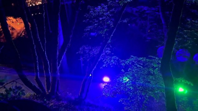 Bohemian Grove Cremation Of Care Ceremony.