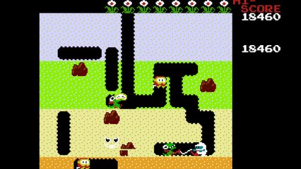 (NES)  Dig Dug --Gameplay