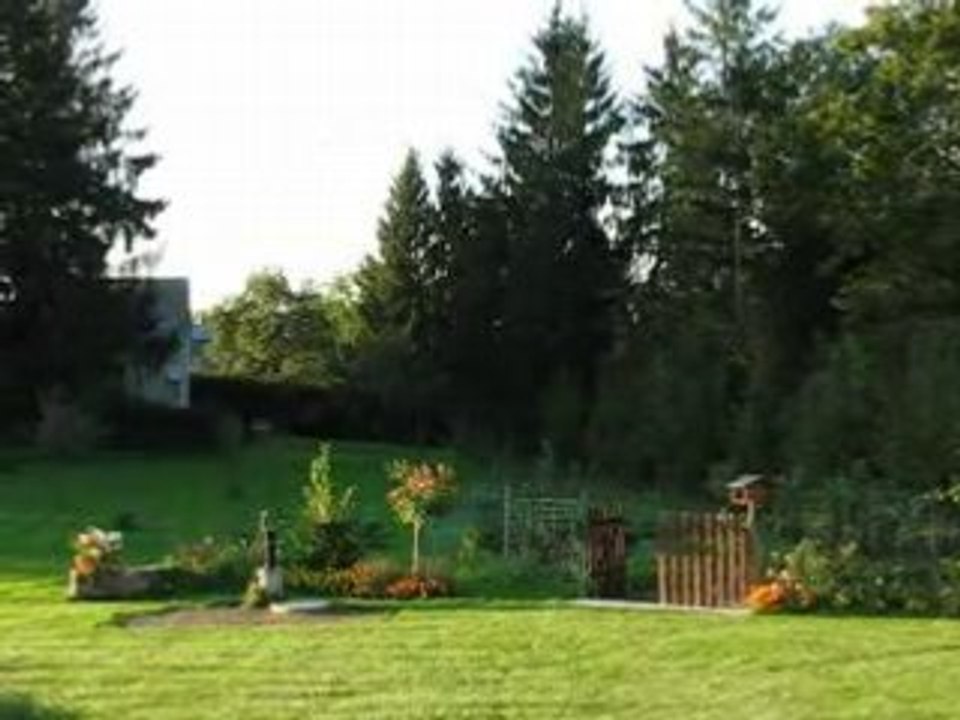 Honey bee king video_07