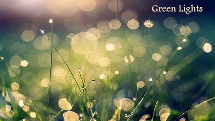 Sean Ferree - Green Lights (Official Music Video)