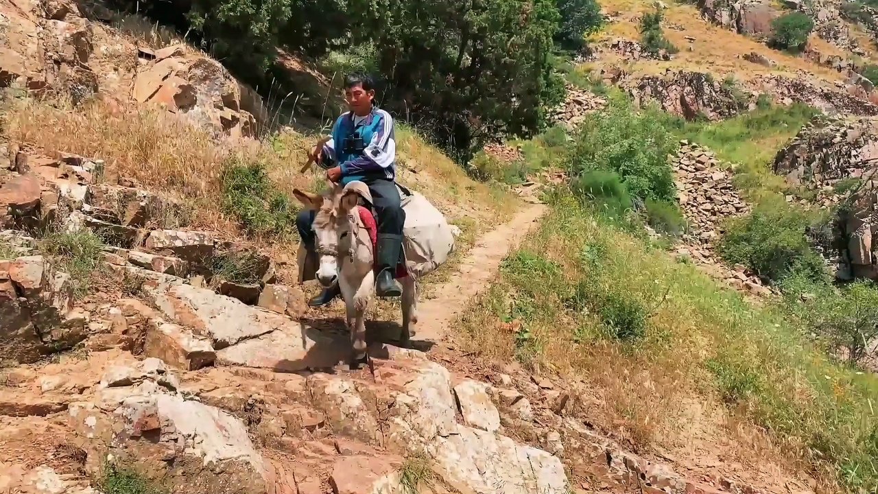 Luqman Hakim Ki Hikmat Bhari Kahani | لقمان حکیم  کی حکمت بھری کہانی