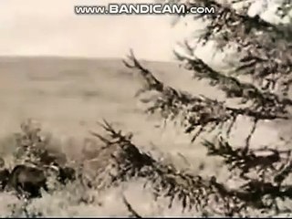 Beautiful Countryside | movie | 1974 | Official Teaser