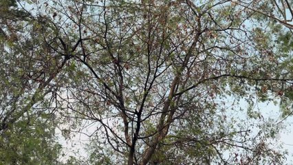 Before One's Eyes | movie | 2024 | Official Teaser